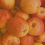 Why Fall Is the Perfect Season to Rebuild Healthy Habits